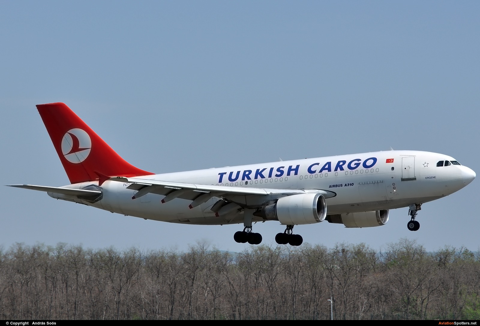 Turkish Airlines Cargo  -  A310F  (TC-JCZ) By András Soós (sas1965)