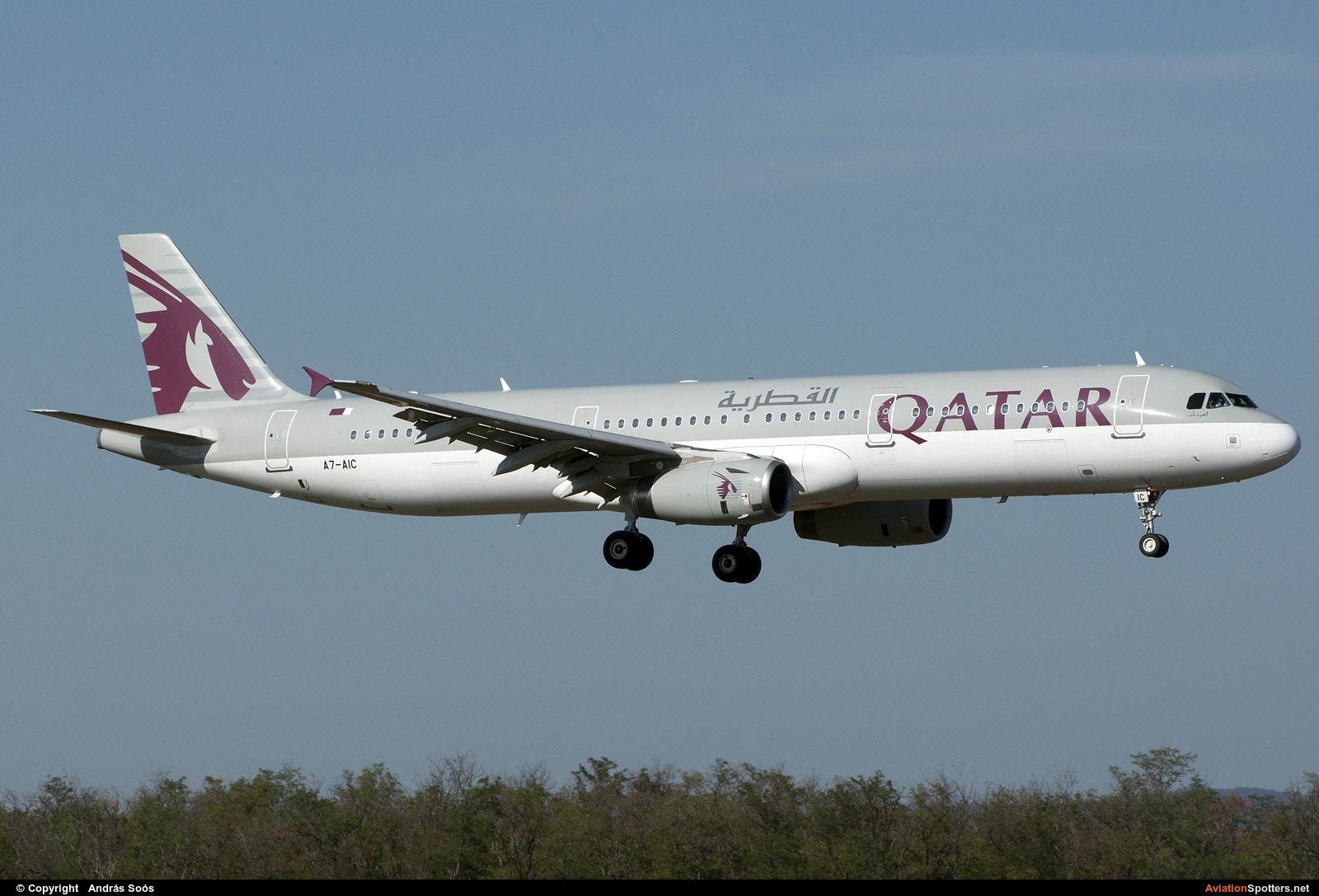 Qatar Airways  -  A321  (A7-AIC) By András Soós (sas1965)