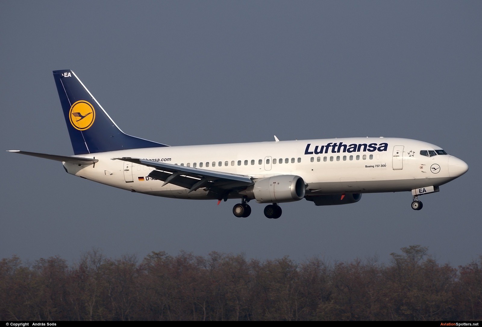 Lufthansa  -  737-300  (D-ABEA) By András Soós (sas1965)