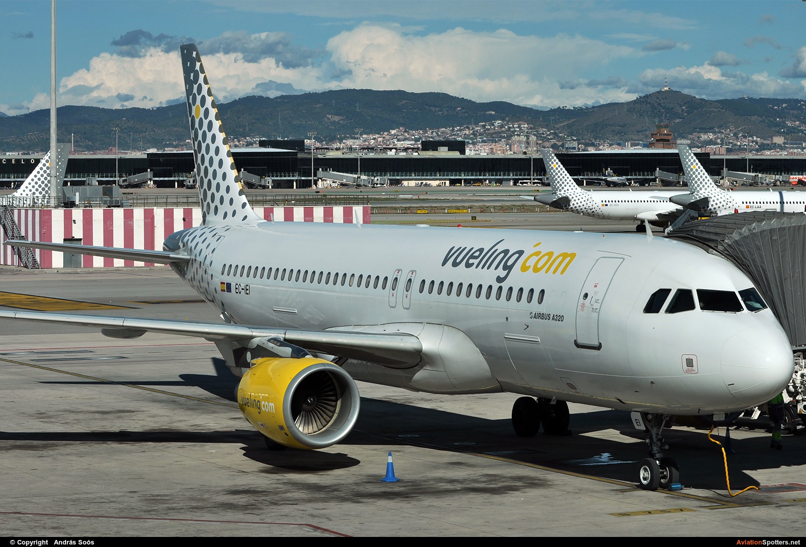 Vueling Airlines  -  A320  (EC-IEI) By András Soós (sas1965)