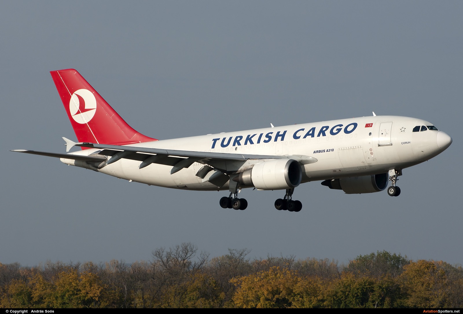 Turkish Airlines Cargo  -  A310F  (TC-JCY) By András Soós (sas1965)