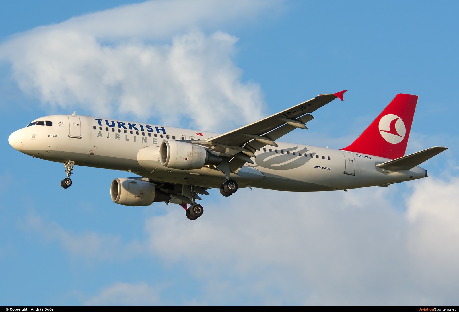 Turkish Airlines  -  A320  (TC-JPY) By András Soós (sas1965)