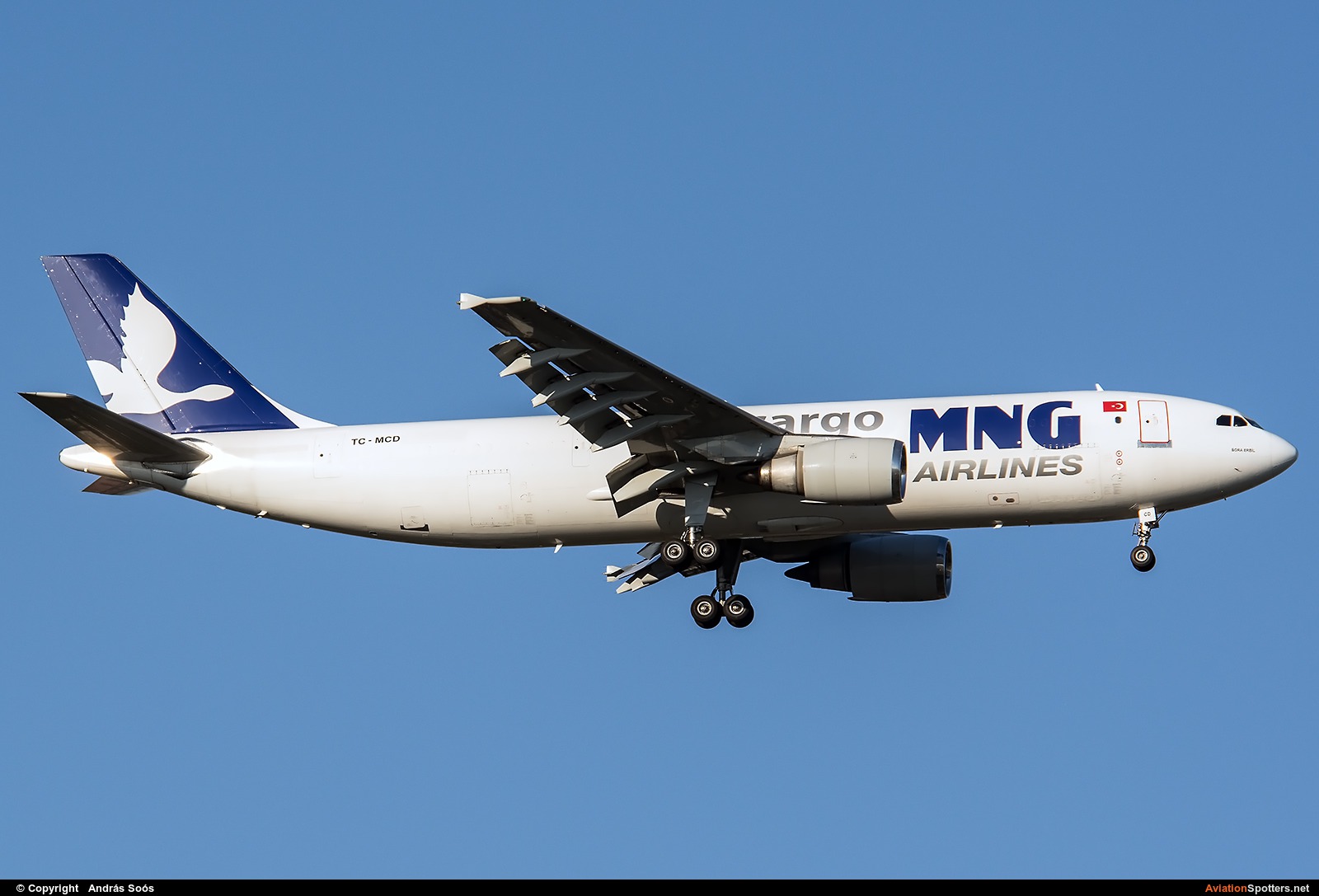 MNG Cargo  -  A300F  (TC-MCD) By András Soós (sas1965)