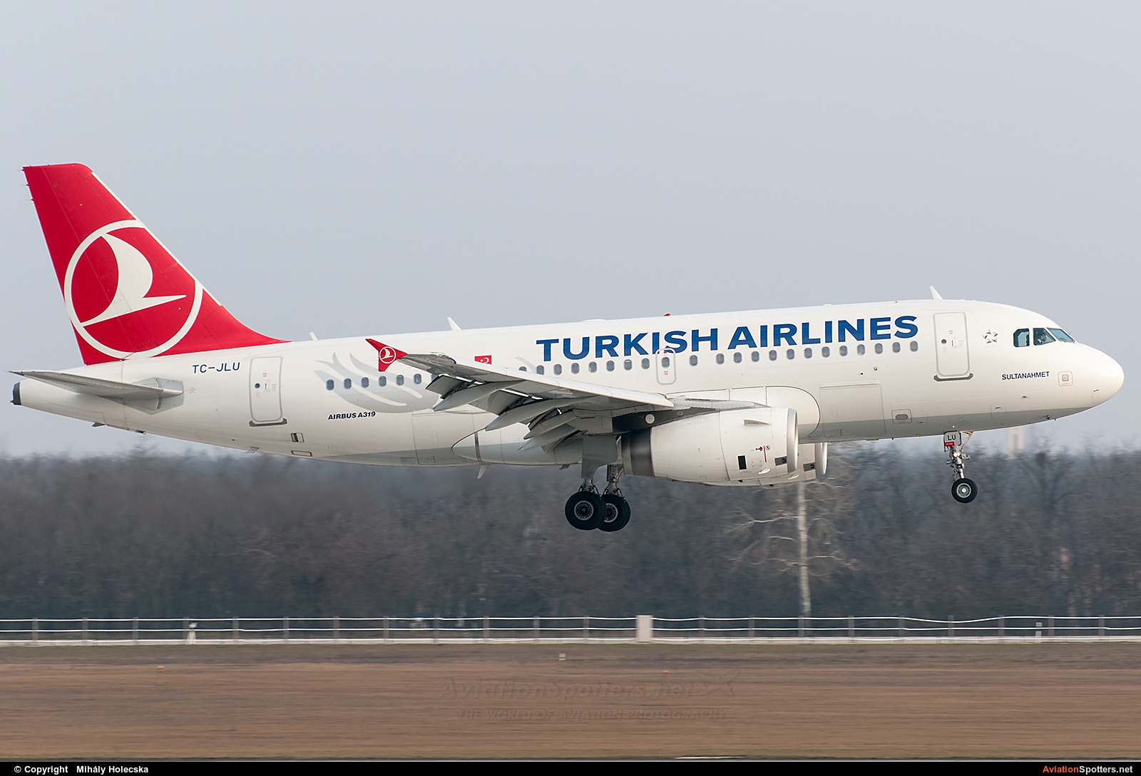 Turkish Airlines  -  A319  (TC-JLU) By Mihály Holecska (Misixx)