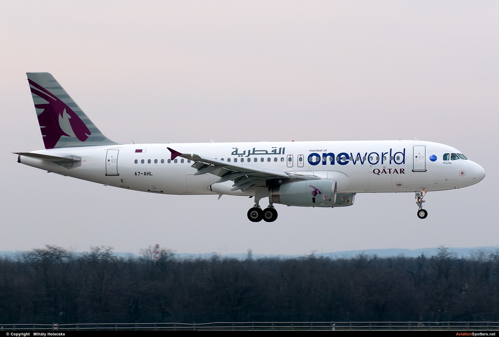 Qatar Airways  -  A320  (A7-AHL) By Mihály Holecska (Misixx)