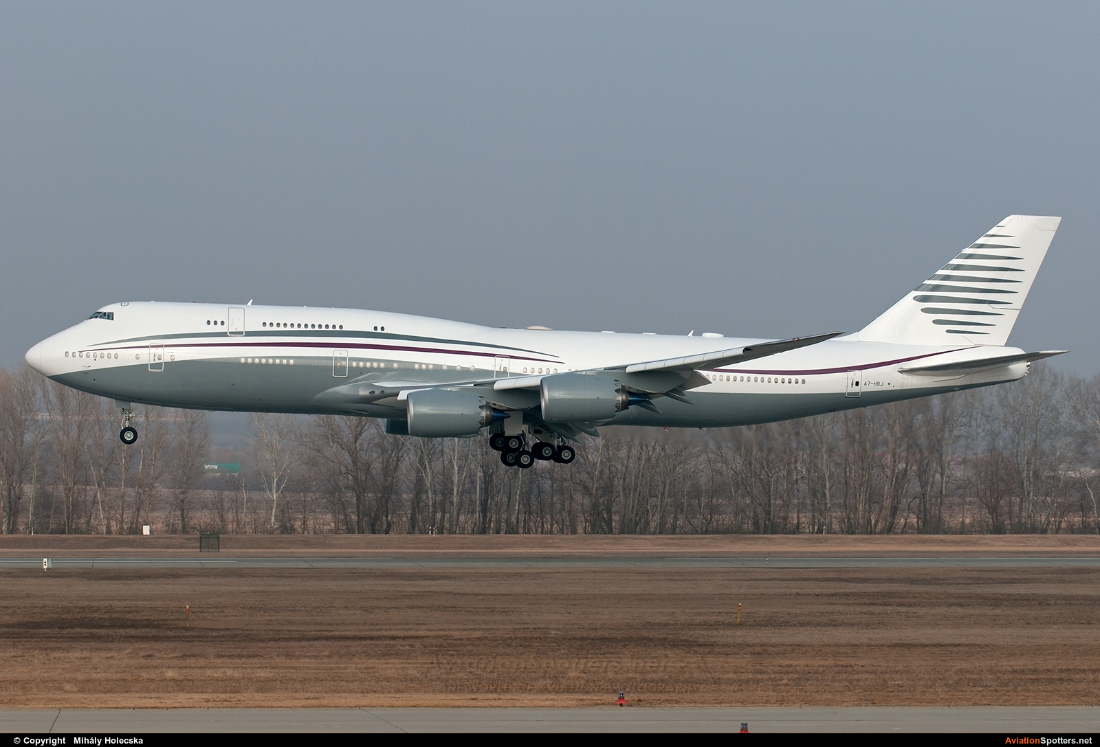 Qatar Amiri Flight  -  747-8  (A7-HBJ) By Mihály Holecska (Misixx)