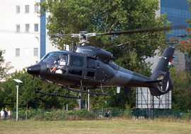 Eurocopter - AS365 Dauphin 2 (HA-BOS) - mat1899