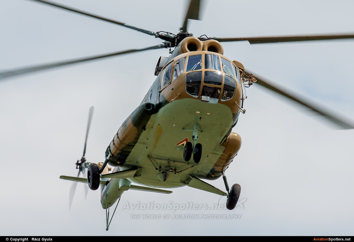Hungary - Air Force  -  Mi-8T  (3304) By Rácz Gyula (Spawn)
