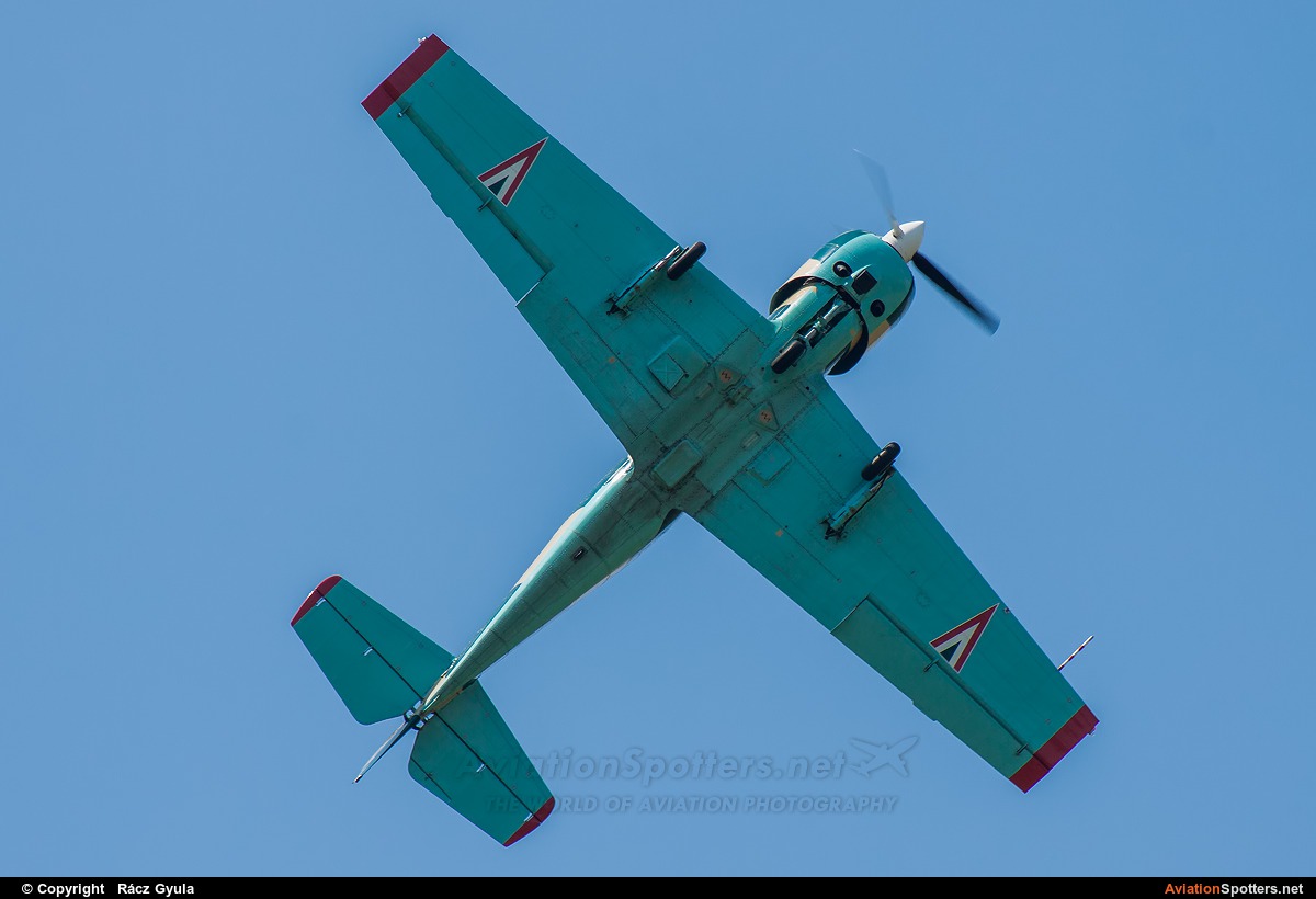 Hungary - Air Force  -  Yak-52  (12) By Rácz Gyula (Spawn)
