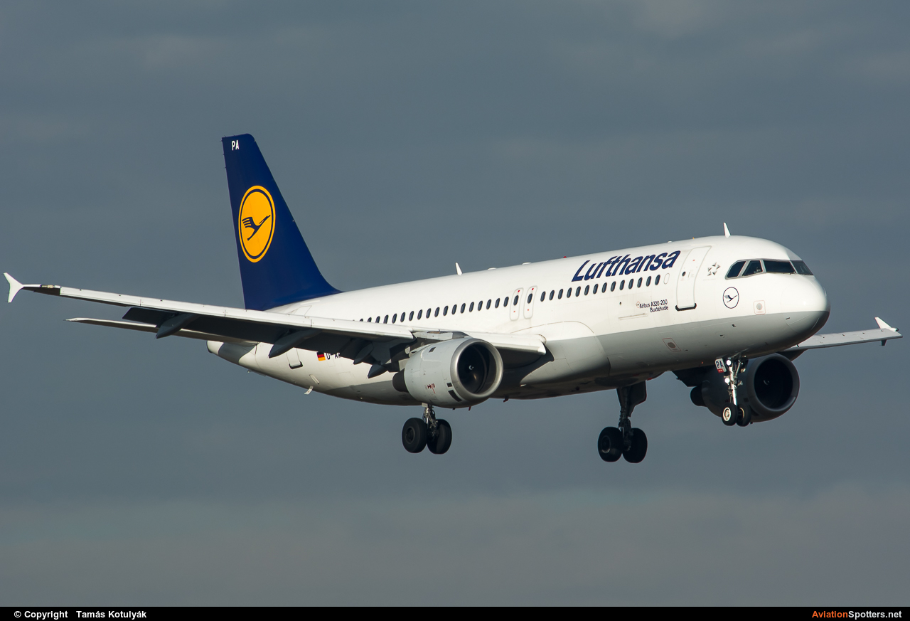 Lufthansa  -  A320  (D-AIPA) By Tamás Kotulyák (TAmas)