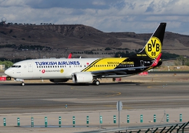 Boeing - 737-800 (TC-JHU) - norber