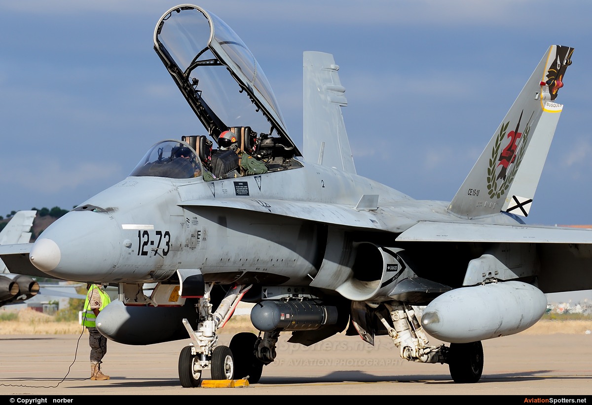 Spain - Air Force  -  EF-18B Hornet  (CE.15-10) By norber (norber)