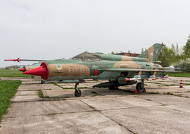 Mikoyan-Gurevich - MiG-21bis (6009) - odin7602