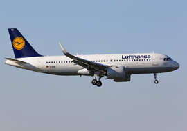 Airbus - A320 (D-AING) - odin7602