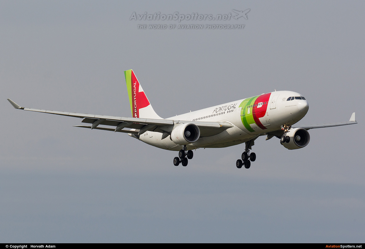 TAP Portugal  -  A330-200  (CS-TOG) By Horvath Adam (odin7602)