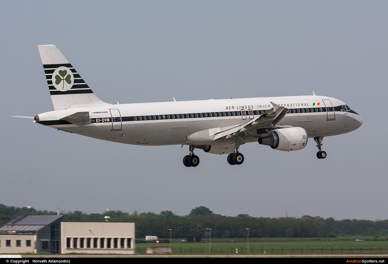 Aer Lingus  -  A320-214  (EI-DVM) By Horvath Adam (odin7602)
