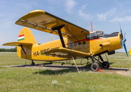 PZL - Mielec An-2 (HA-MBE) - ptolnai
