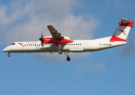 de Havilland Canada - DHC-8-402Q Dash 8 (OE-LGM) - ptolnai