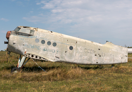 Antonov - An-2 (CCCP-56391) - ptolnai