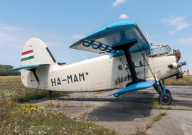PZL - Mielec An-2 (HA-MAM) - ptolnai