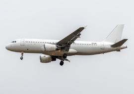 Airbus - A320-214 (YL-LDF) - ptolnai