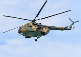 Mil - Mi-17 (704) - ptolnai