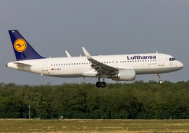 Airbus - A320-214 (D-AIUV) - ptolnai