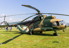 Mil - Mi-8T (3304) - ptolnai