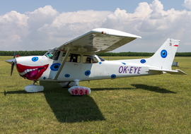 Cessna - 172 Skyhawk (all models except RG) (OK-EYE) - ptolnai