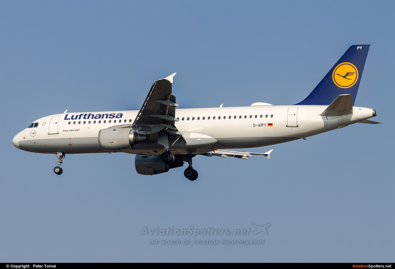 Lufthansa  -  A320-211  (D-AIPY) By Peter Tolnai (ptolnai)
