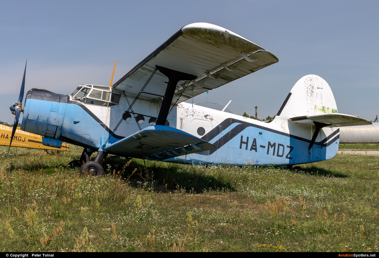 Private  -  Mielec An-2  (HA-MDZ) By Peter Tolnai (ptolnai)