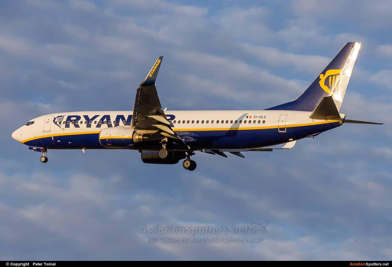 Ryanair  -  737-800  (EI-DLE) By Peter Tolnai (ptolnai)