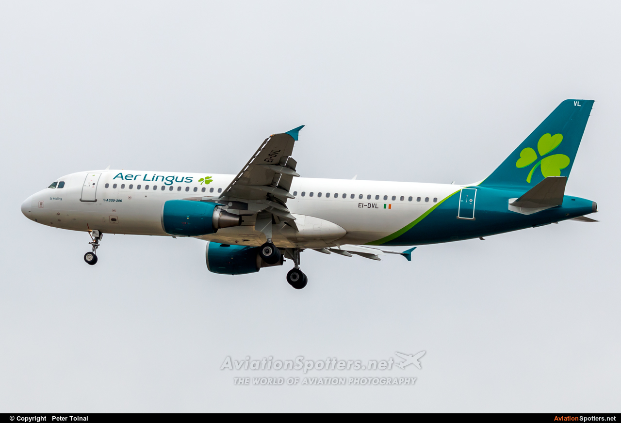 Aer Lingus  -  A320  (EI-DVL) By Peter Tolnai (ptolnai)
