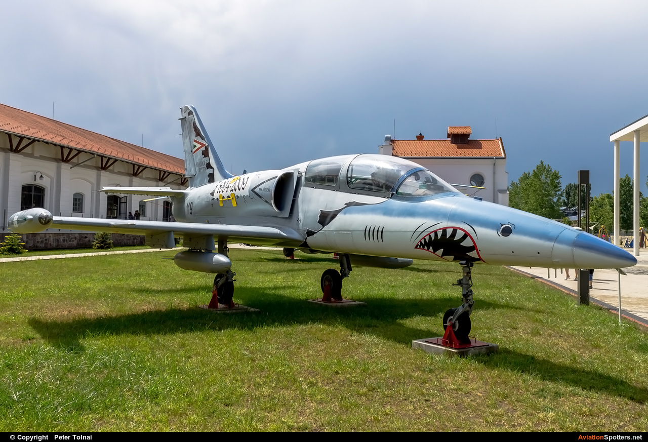 Hungary - Air Force  -  L-39ZO Albatros  (119) By Peter Tolnai (ptolnai)