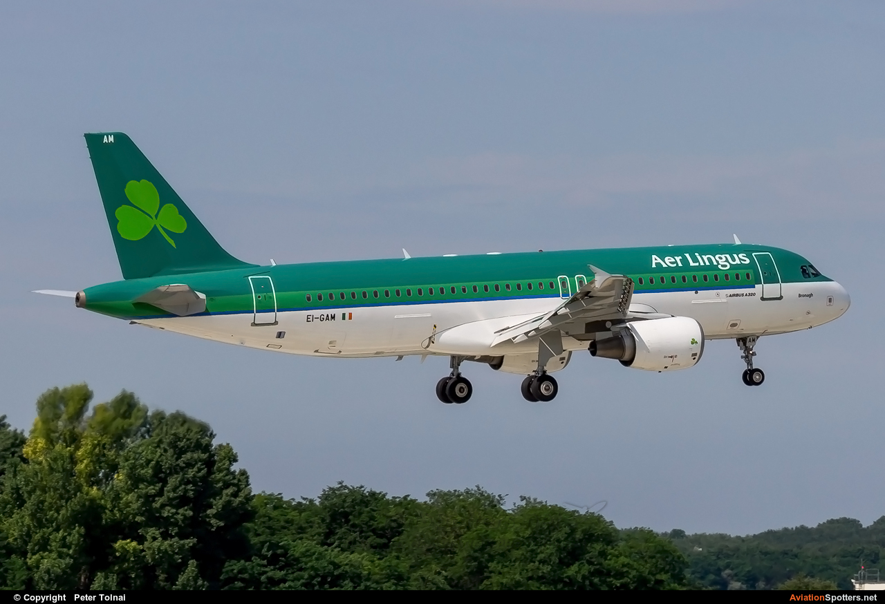 Aer Lingus  -  A320-214  (EI-GAM) By Peter Tolnai (ptolnai)