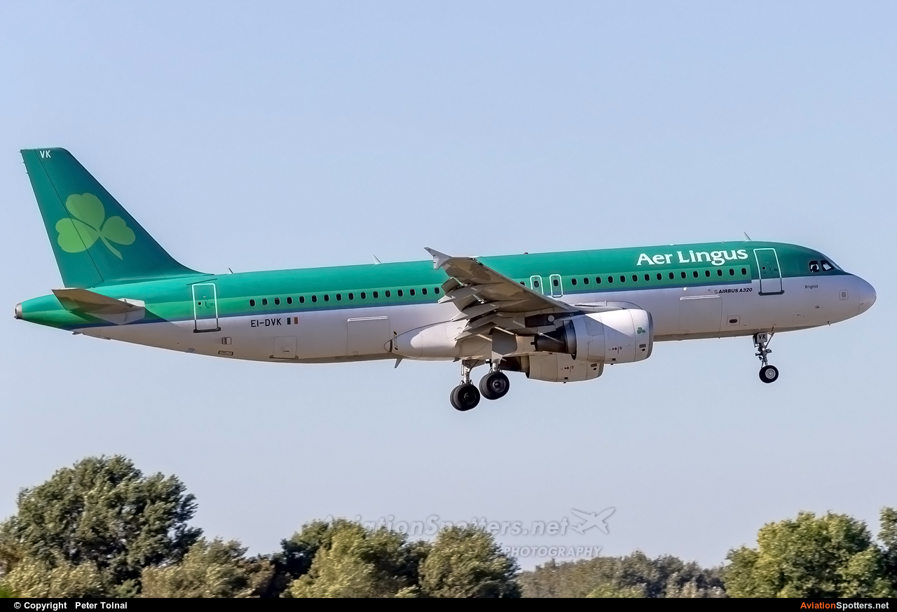 Aer Lingus  -  A320  (EI-DVK) By Peter Tolnai (ptolnai)