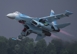 Sukhoi - Su-27P (58) - AirComunity