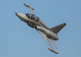 CASA-Northrop -  SF-5B(M) Freedom Fighter (AE.9-17) - AirComunity