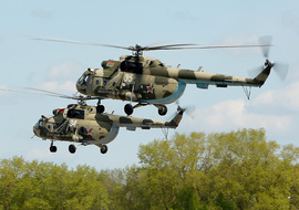Mil - Mi-8MT (35) - Сергей Коньков