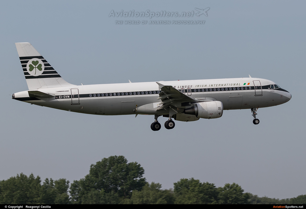 Aer Lingus  -  A320-214  (EI-DVM) By Rozgonyi Cecília (Rozgonyi Cecília)