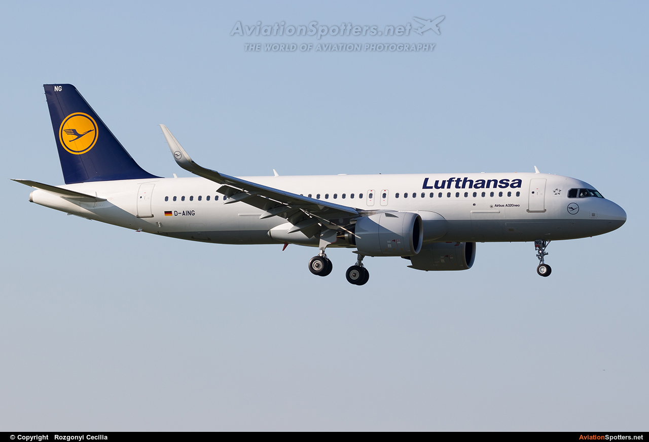 Lufthansa  -  A320  (D-AING) By Rozgonyi Cecília (Rozgonyi Cecília)