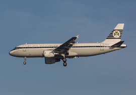 Airbus - A320 (EI-DVM) - Banter Ops