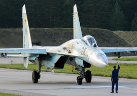 Sukhoi - Su-27P (28 RED) - Alexey Mityaev