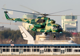 Mil - Mi-8AMT-1 (RF-20450) - Alexey Mityaev