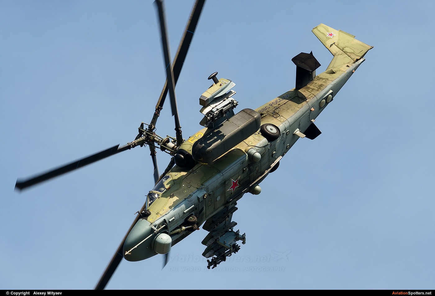 Russia - Air Force  -  Ka-52 Alligator  (53 YELLOW) By Alexey Mityaev (Alexey Mityaev)