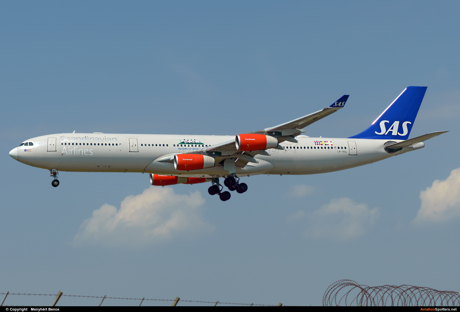 SAS - Scandinavian Airlines  -  A340-300  (LN-RKG) By Menyhért Bence (hadesdras91)