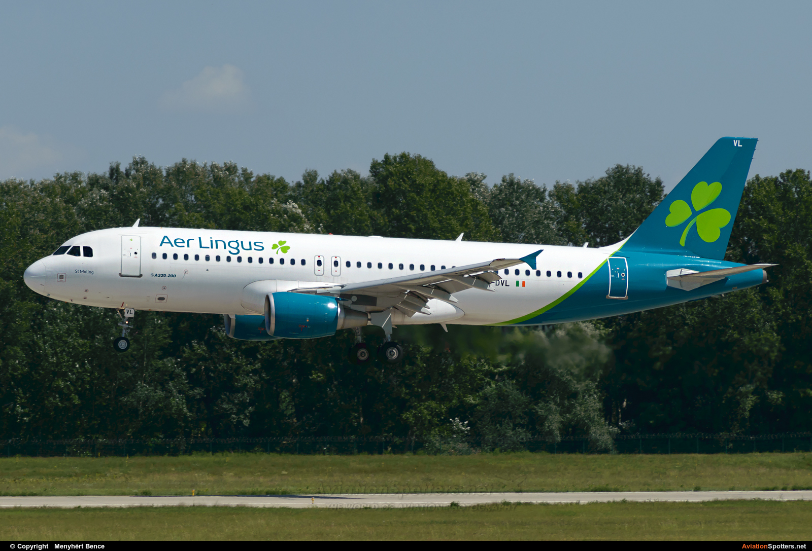 Aer Lingus  -  A320  (EI-DVL) By Menyhért Bence (hadesdras91)