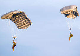 Parachute - Military (-) - regos