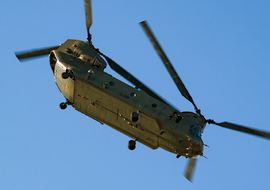 Boeing - CH-47D Chinook (ZH891) - regos