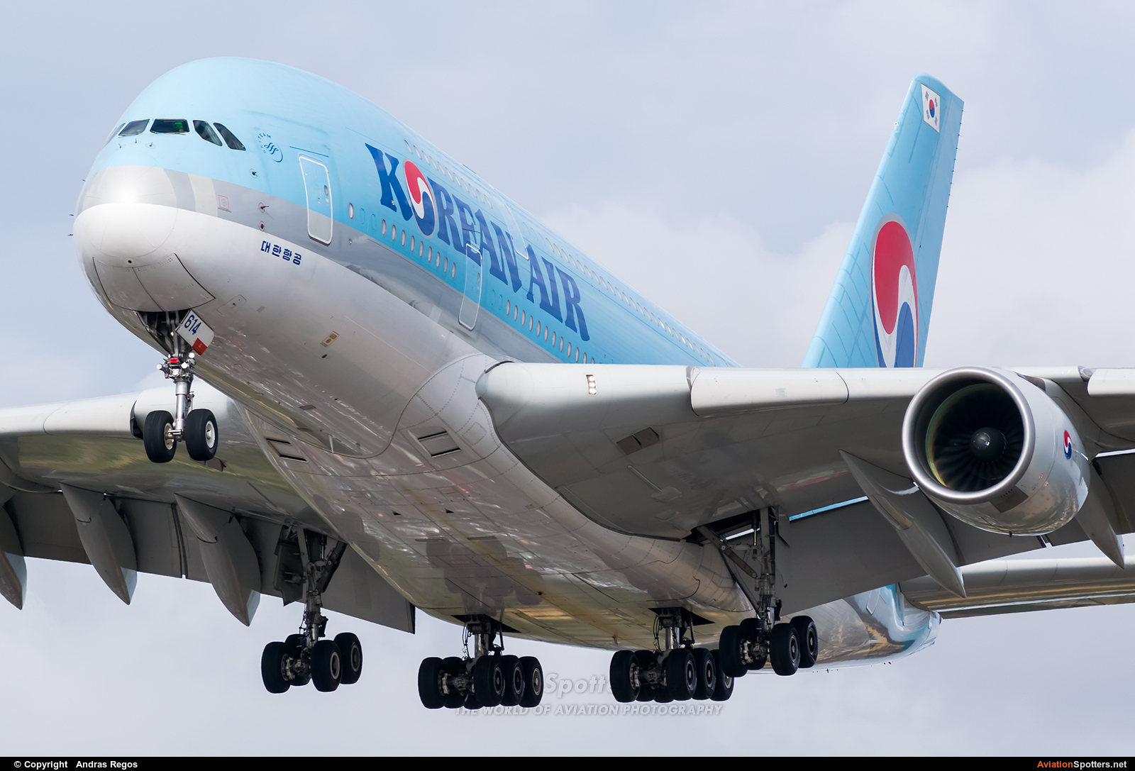 Korean Airlines  -  A380-861  (HL7614) By Andras Regos (regos)